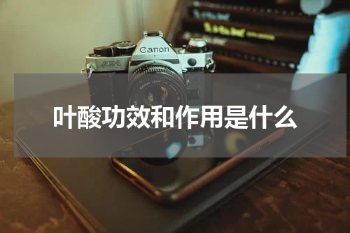叶酸功效和作用是什么