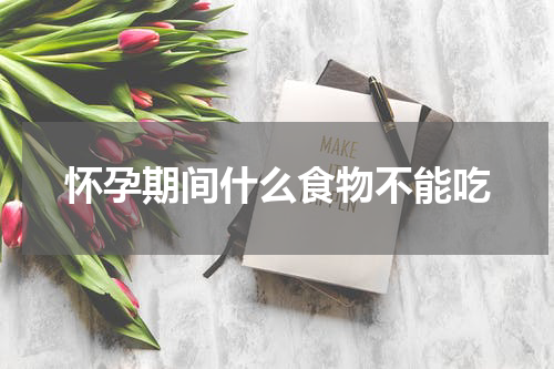 怀孕期间什么食物不能吃