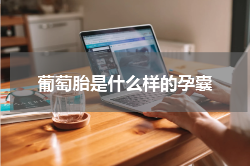 葡萄胎是什么样的孕囊