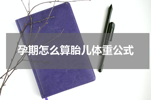 孕期怎么算胎儿体重公式