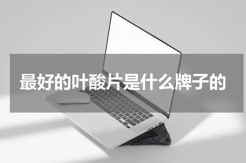 最好的叶酸片是什么牌子的