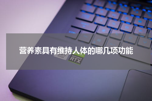 营养素具有维持人体的哪几项功能