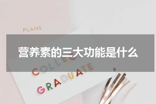 营养素的三大功能是什么