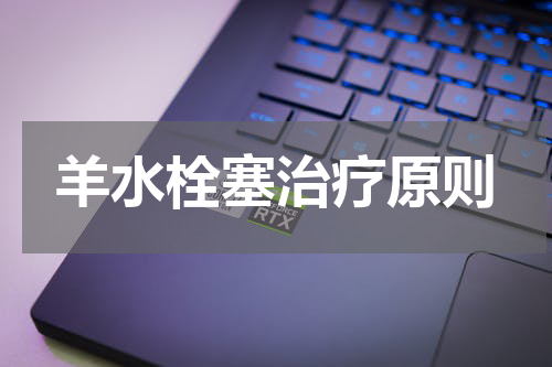 羊水栓塞治疗原则