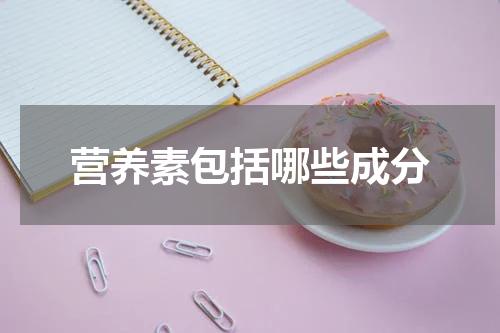 营养素包括哪些成分