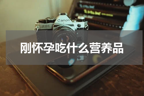 刚怀孕吃什么营养品