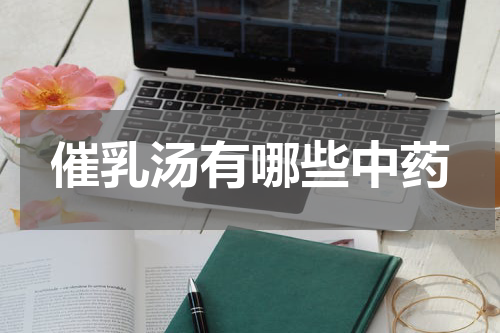 催乳汤有哪些中药