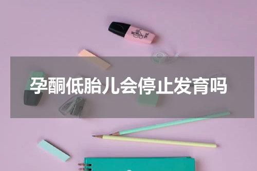 孕酮低胎儿会停止发育吗
