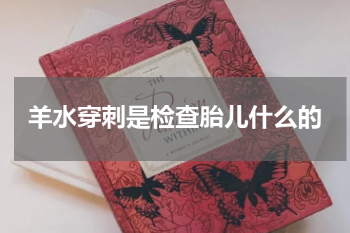 羊水穿刺是检查胎儿什么的
