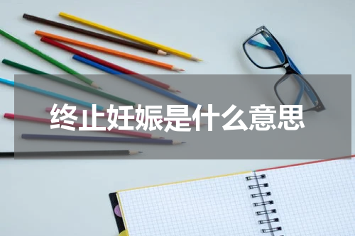 终止妊娠是什么意思