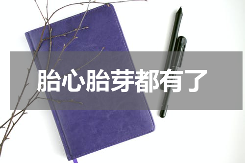 胎心胎芽都有了