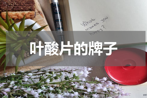 叶酸片的牌子