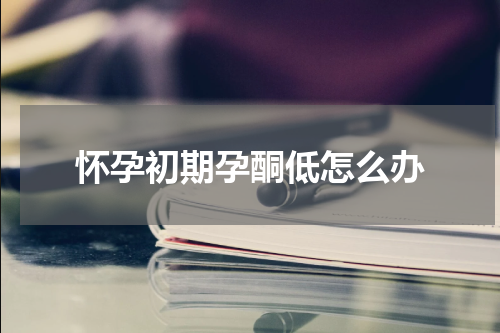 怀孕初期孕酮低怎么办