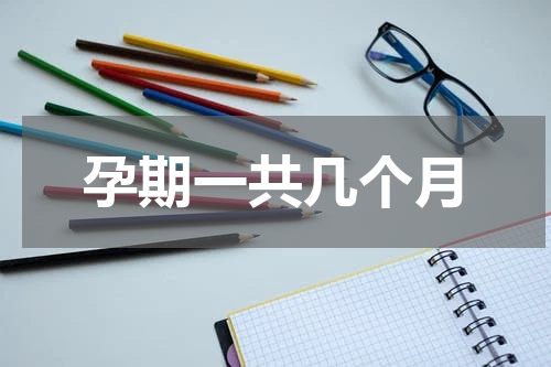 孕期一共几个月