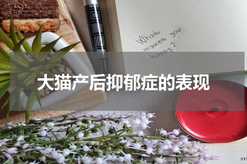 大猫产后抑郁症的表现