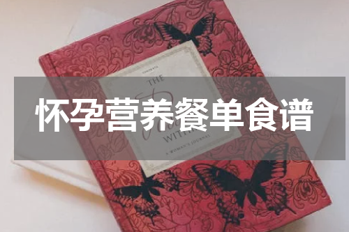 怀孕营养餐单食谱