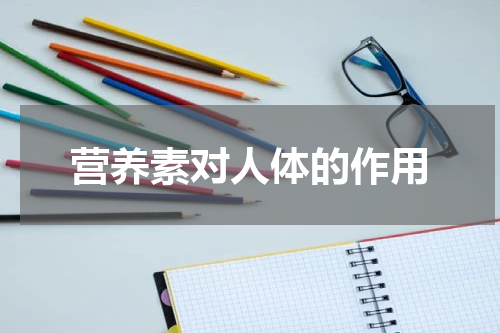 营养素对人体的作用