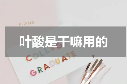 叶酸是干嘛用的
