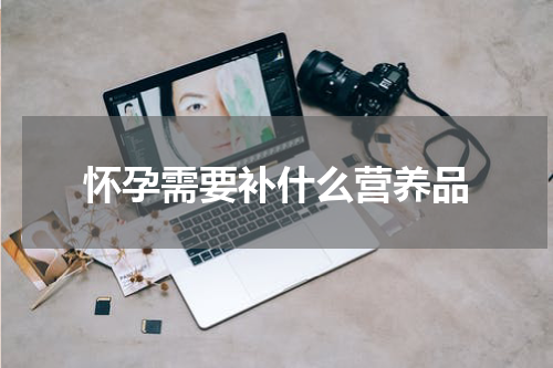 怀孕需要补什么营养品