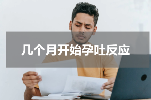 几个月开始孕吐反应