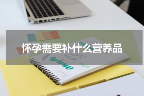 怀孕需要补什么营养品