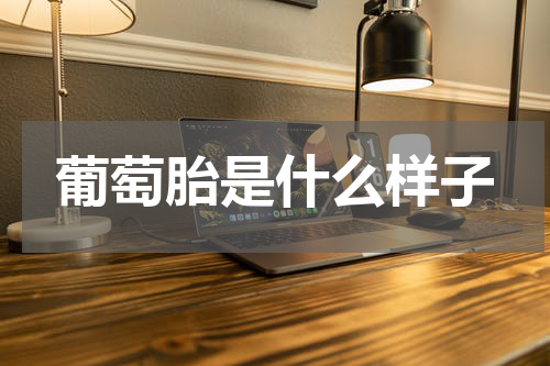 葡萄胎是什么样子