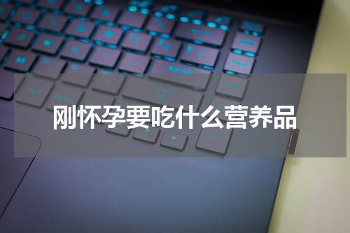 刚怀孕要吃什么营养品