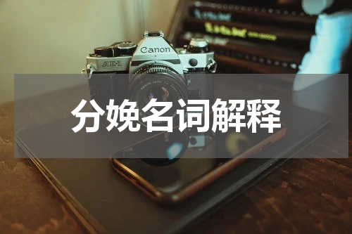 分娩名词解释