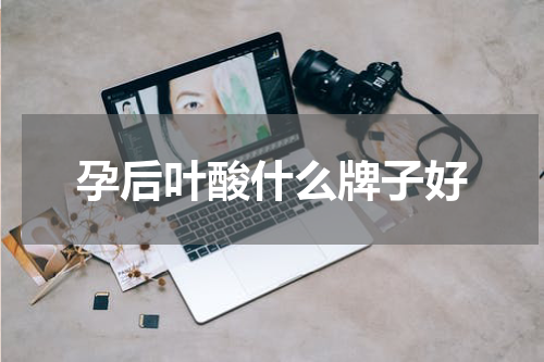 孕后叶酸什么牌子好