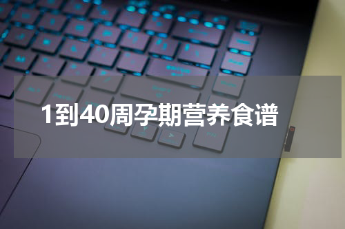 1到40周孕期营养食谱