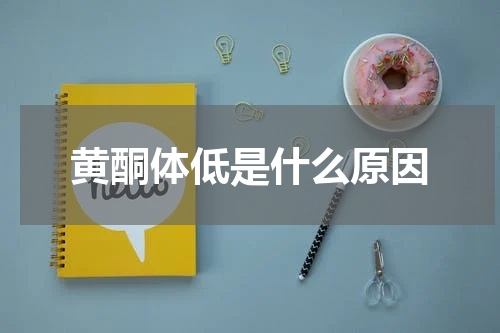 黄酮体低是什么原因