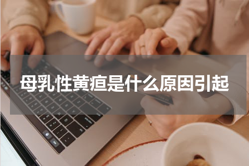 母乳性黄疸是什么原因引起