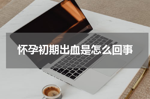 怀孕初期出血是怎么回事