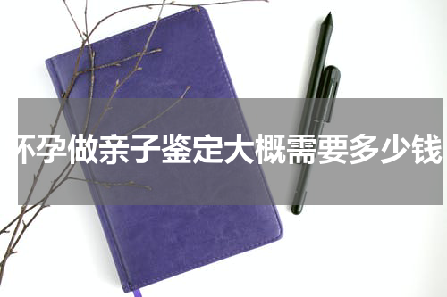 怀孕做亲子鉴定大概需要多少钱