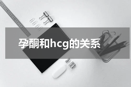 孕酮和hcg的关系