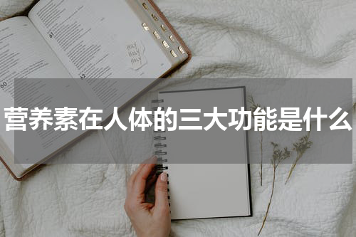 营养素在人体的三大功能是什么