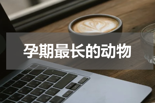 孕期最长的动物