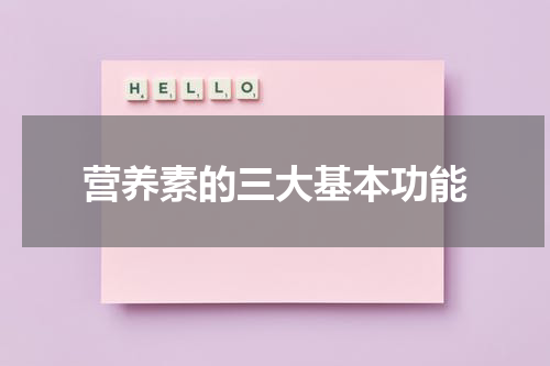 营养素的三大基本功能