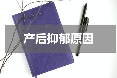 产后抑郁原因