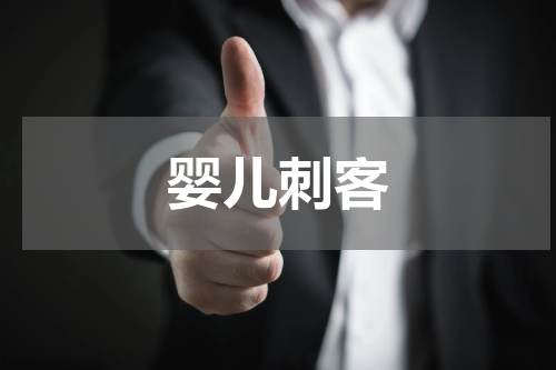 婴儿刺客