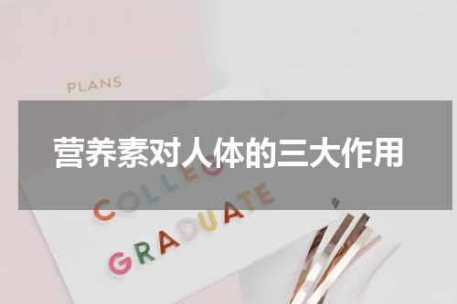营养素对人体的三大作用