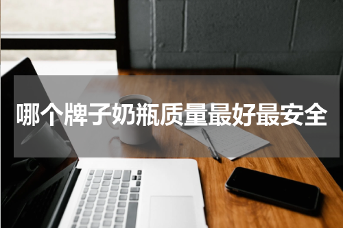 哪个牌子奶瓶质量最好最安全