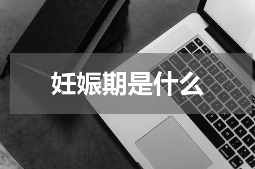 妊娠期是什么