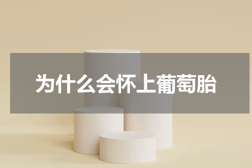 为什么会怀上葡萄胎