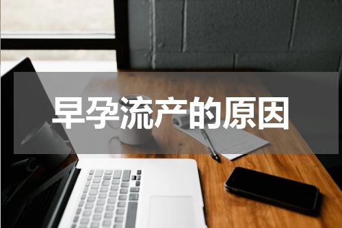 早孕流产的原因