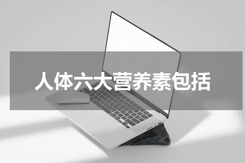 人体六大营养素包括