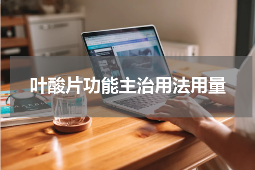 叶酸片功能主治用法用量