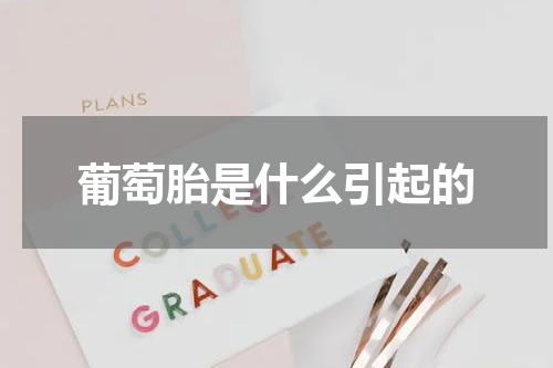 葡萄胎是什么引起的