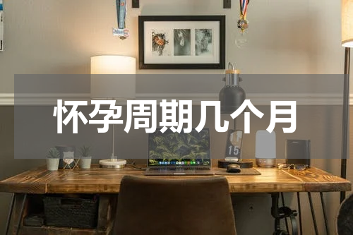 怀孕周期几个月