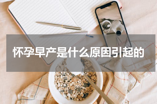 怀孕早产是什么原因引起的